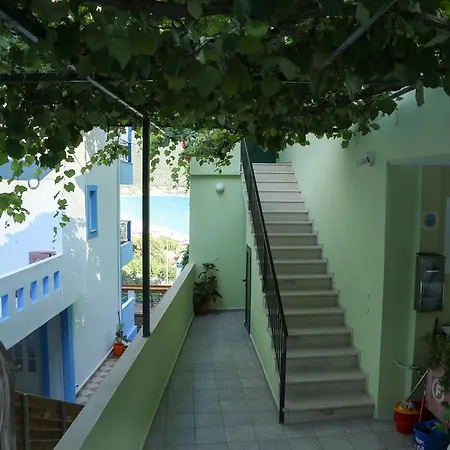 Steven Apartamento